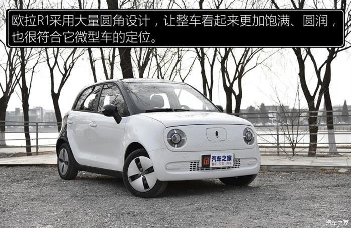 纯电动车型
