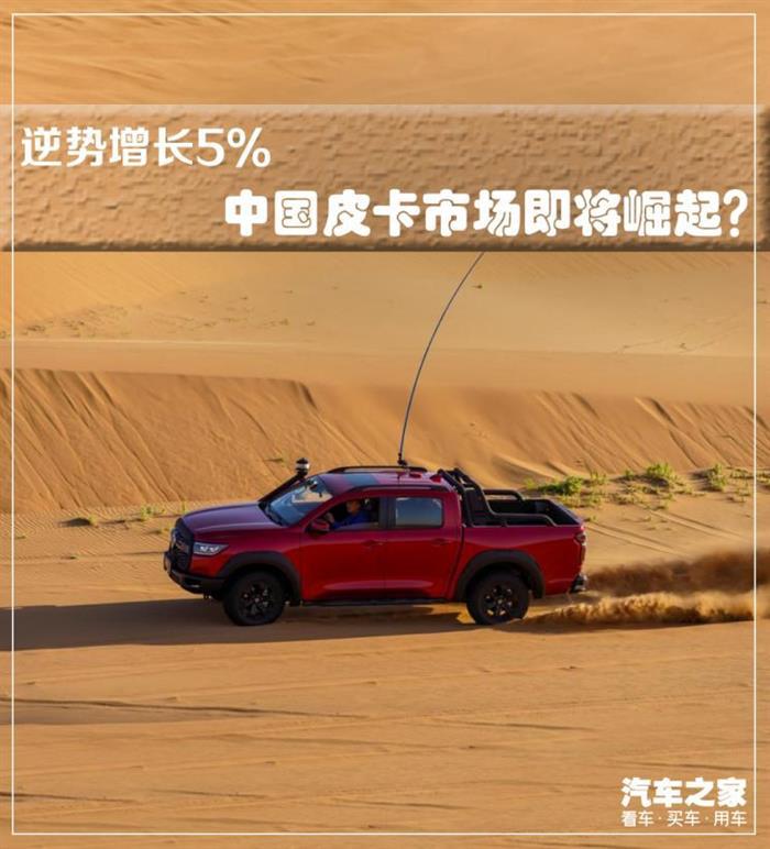 销量，中国皮卡市场,中国2019皮卡销量