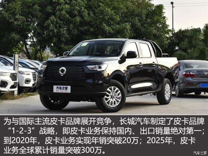 销量，中国皮卡市场,中国2019皮卡销量