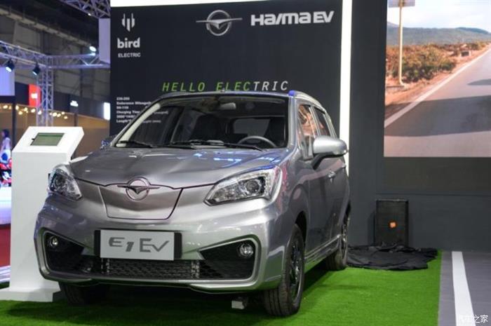 海马汽车,海马汽车印度