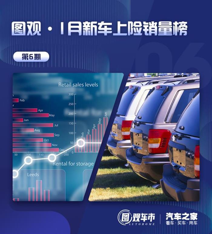 销量，1月汽车销量,1月汽车上险量