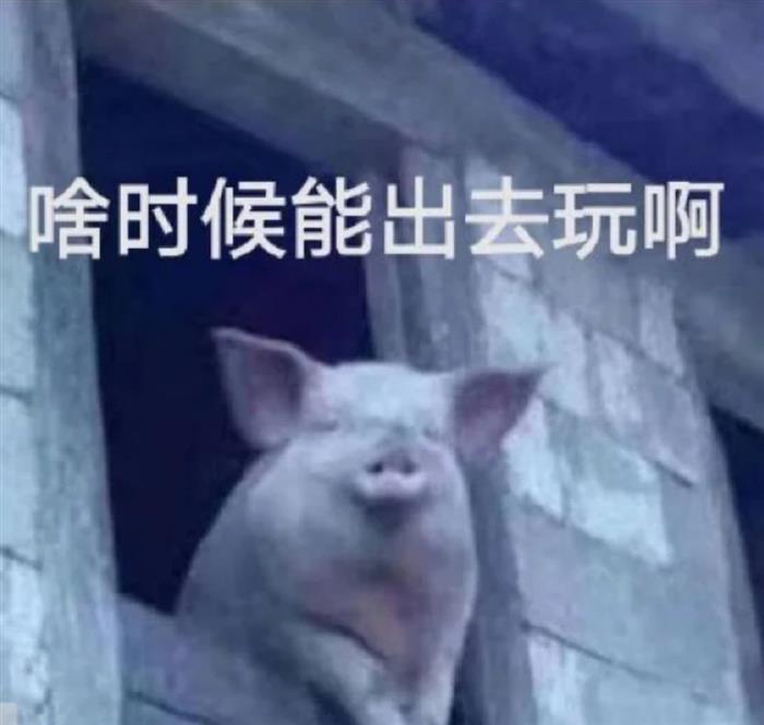 疫情之后，我想教教车企老板做直播
