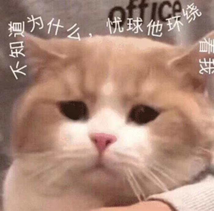 力帆,汽车销量