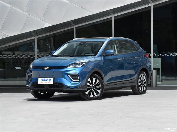 政策，比亚迪，蔚来，新能源汽车,爱驰,威马