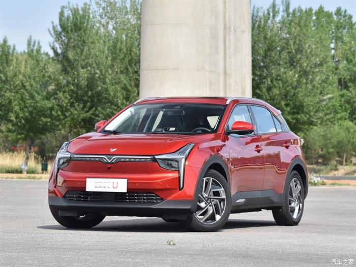 政策，比亚迪，蔚来，新能源汽车,爱驰,威马