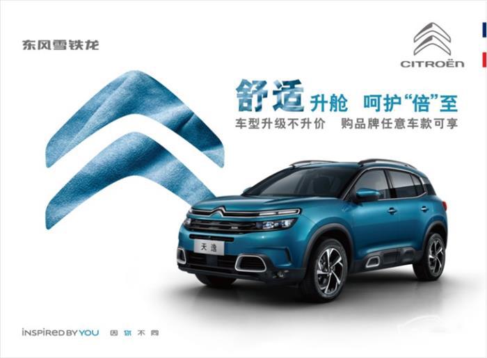 政策，东风雪铁龙,东风