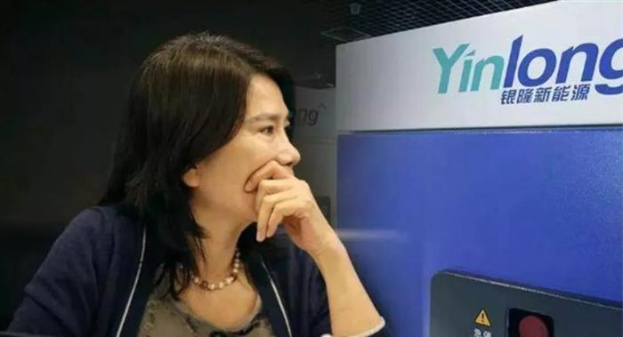 新能源汽车,董明珠，银隆新能源