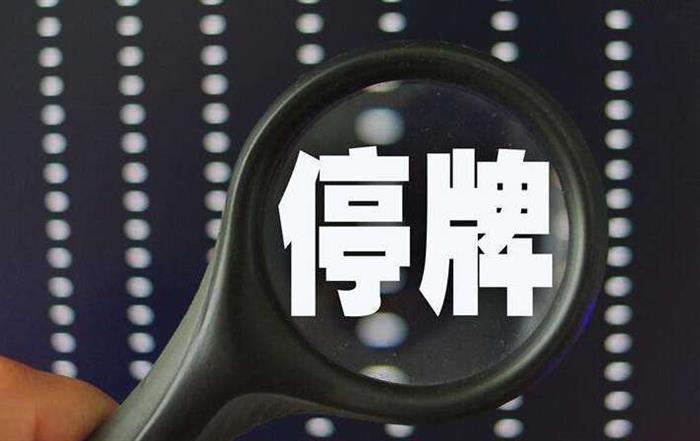 停牌后才让人知道的五龙电动车