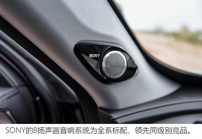 奇瑞汽车 瑞虎8 PLUS 2021款 290TGDI 自动高配版