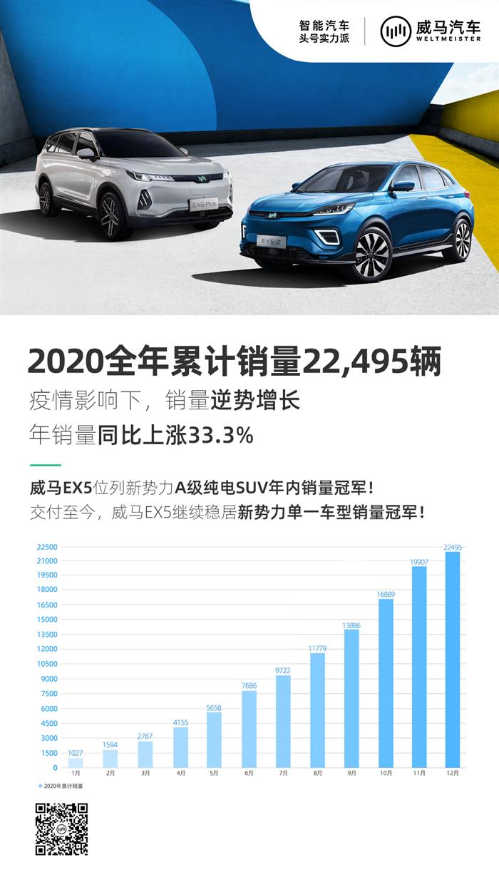 2020造车新势力销量出炉：从三打一到六打一