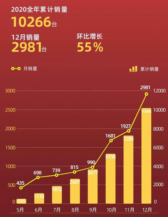 2020造车新势力销量出炉：从三打一到六打一