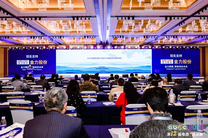 锂电池/钠电池/固态电池等10大榜单发布!今年有这些新变化!