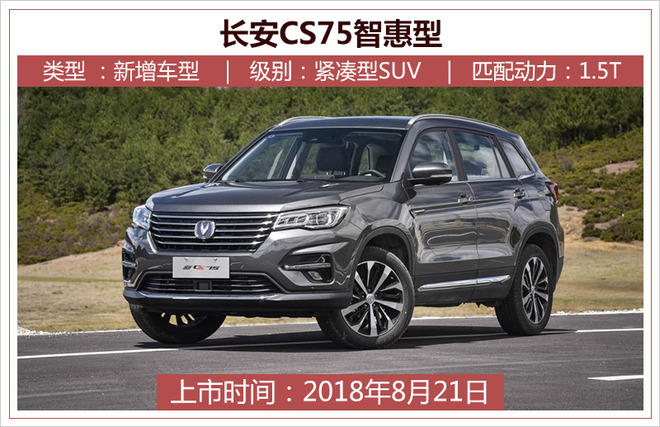 新车，车都车展
