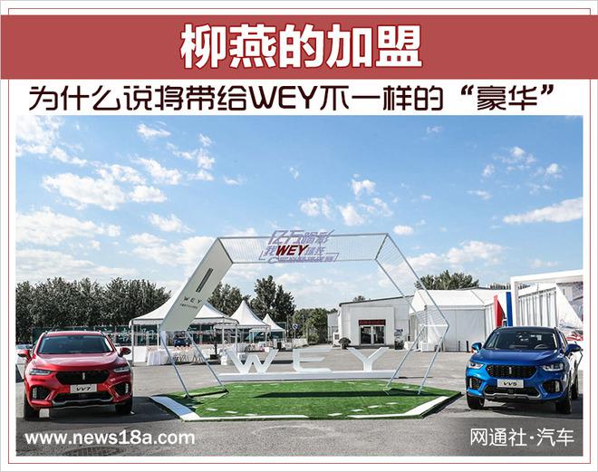 长城汽车，柳燕加盟WEY品牌,长城汽车营销大将，长城汽车人事变动