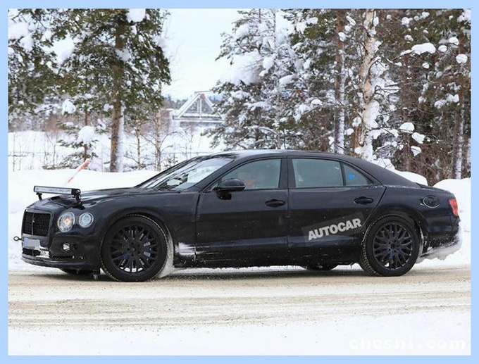 大众最新内部资料