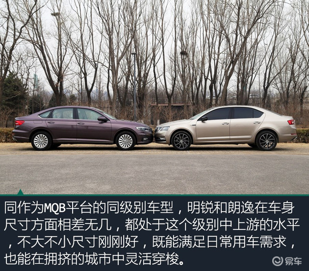 明锐，朗逸，朗逸车主明锐