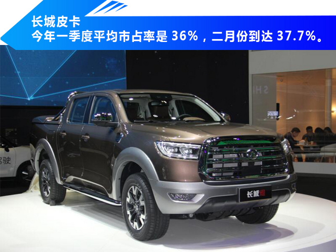 长城皮卡未来战略,全球车主