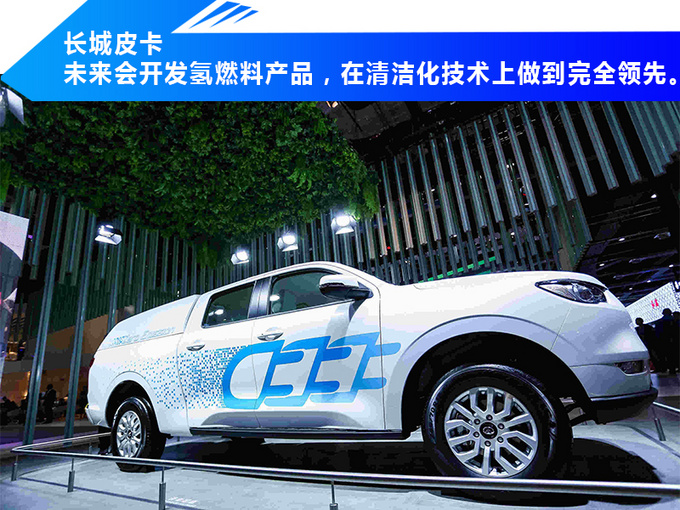 长城皮卡未来战略,全球车主