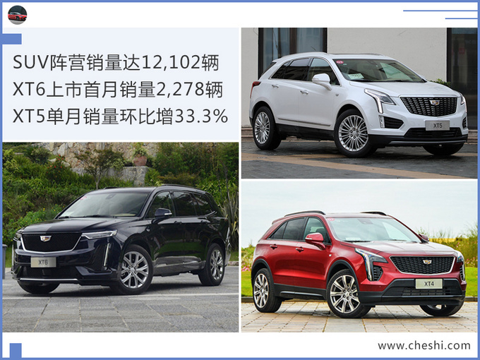 SUV,销量,凯迪拉克销量 SUV,销量,凯迪拉克销量