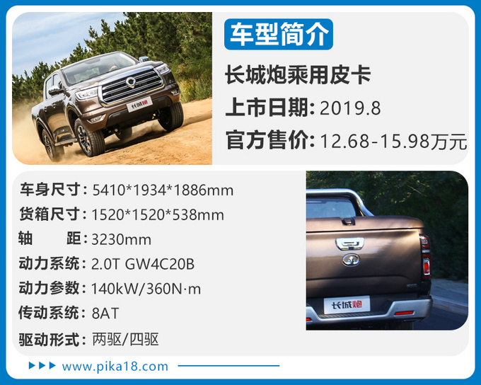 国六皮卡,皮卡