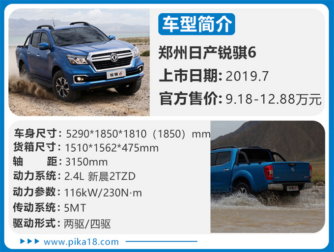 国六皮卡,皮卡