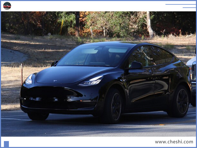 特斯拉，特斯拉Model Y