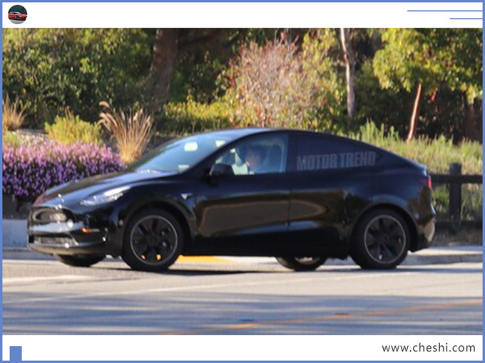 特斯拉，特斯拉Model Y