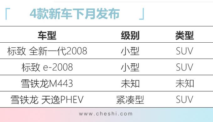 新车，标致雪铁龙