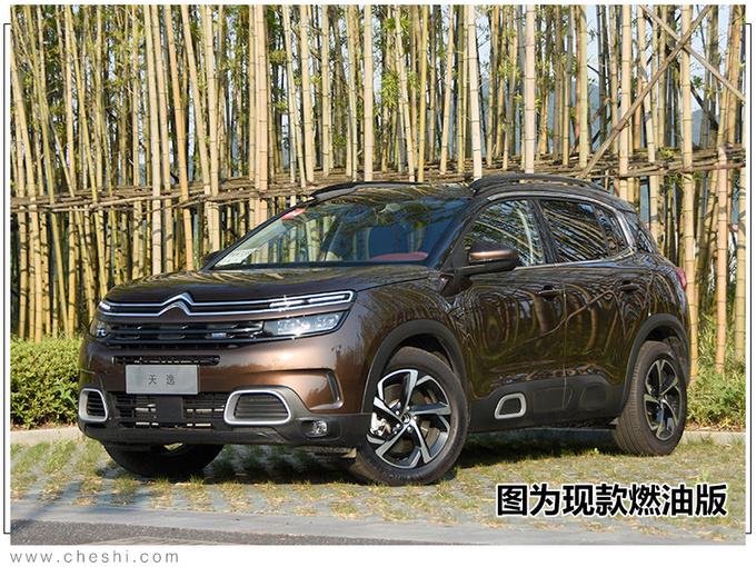 新车，标致雪铁龙