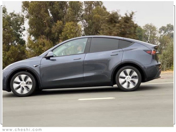 特斯拉，特斯拉Model Y国产