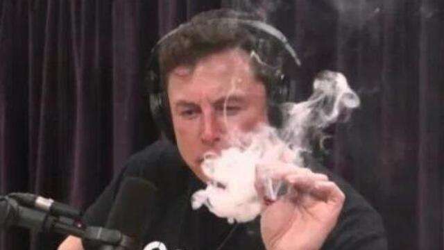 特斯拉，特斯拉