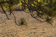 奥迪SQ7价格,奥迪SQ7上市