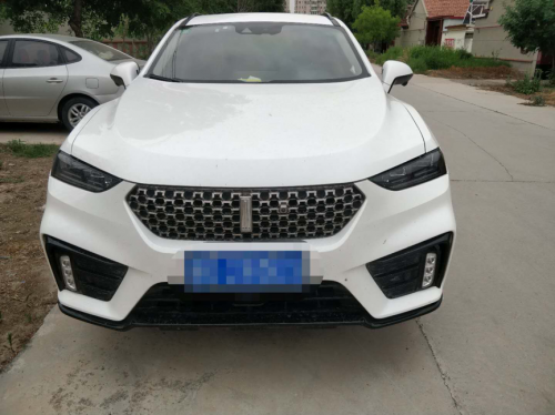 销量，5月汽车销量,WEY