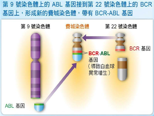 马斯克旗下公司要造“恐龙”，我看他们要造“恐慌”|C次元