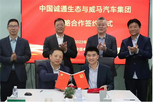 爱驰的陨落，只是冰山一角