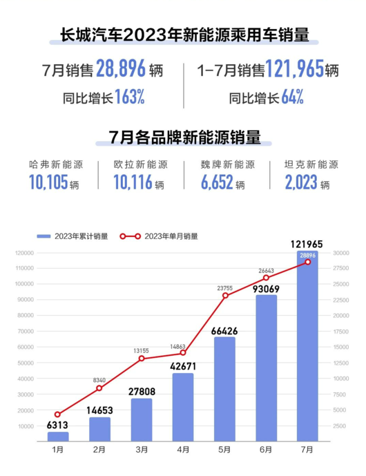 同比增长163%，长城新能源没你想象中那么弱