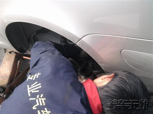 养车无忧网自助保养——不逊色于4S店的汽车保养