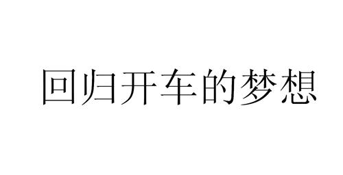 段超：中国车主服务入口的打造和车联网价值深挖