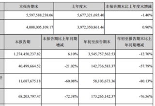 财报，德赛西威财报,汽车电子