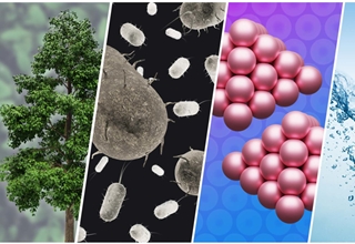 NSF可持续高分子聚合物中心,明尼苏达大学双城分校,可再生生物石油