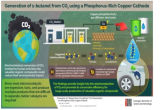 光州科学技术院,二氧化碳,丁醇,替代燃料,富磷铜正极