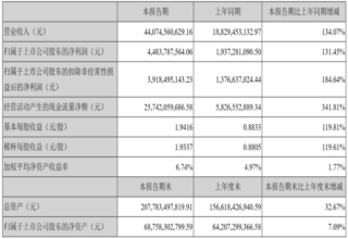 宁德时代,2021年上半年财报