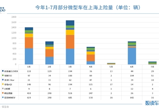 上海微型车,上海新能源