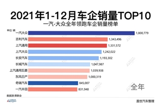 2021年1-12月车企销量TOP10