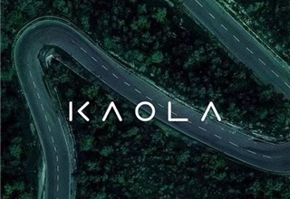 输血55亿！北汽新能源生存危机暂解