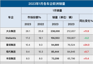 1月欧洲车市：西班牙引领复苏，特斯拉销量大涨1022%