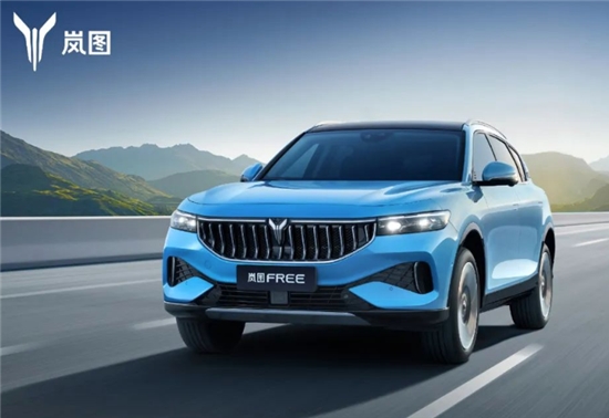 对话岚图挪威经销商，看岚图引领中国品牌出海2.0时代