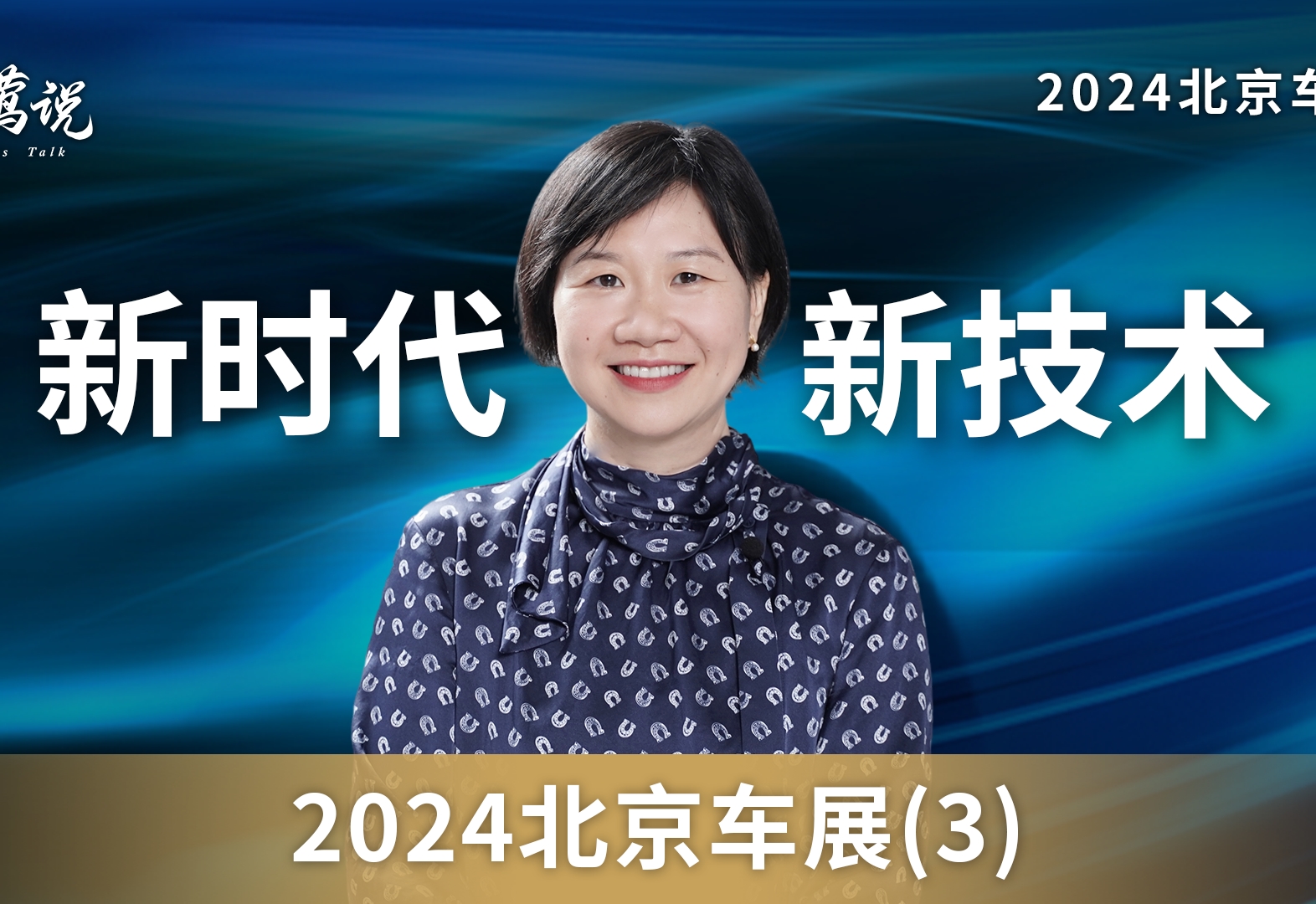 2024北京车展（3）：新汽车·新技术