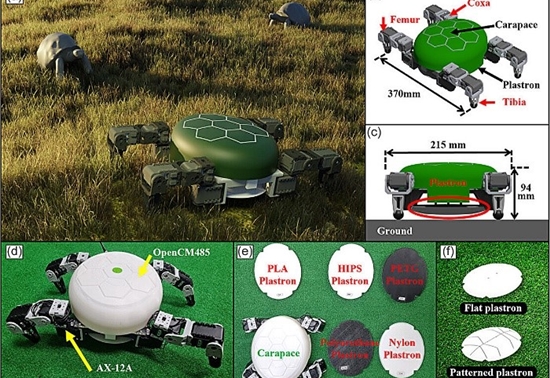 受乌龟和陆龟启发 研究人员进一步提高足式机器人的能源效率