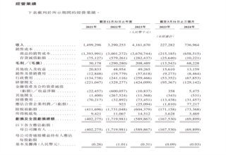 估值182亿，正力新能冲刺港股IPO